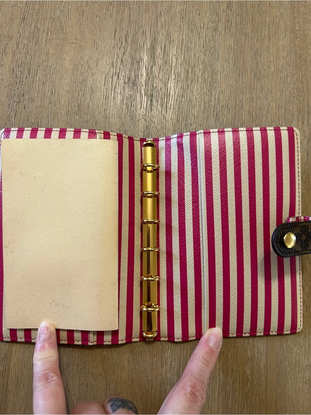 Louis Vuitton Monogram Notebook/Agenda Trunk Print - Picture 10 of 11